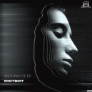 Riotbot - Anthracite