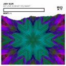 Joey SLVR - My Love Is What You Want