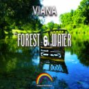 Viana - Main Card
