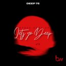 Deep75 & BINA - Destiney