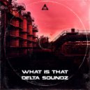Delta Soundz - What Is That