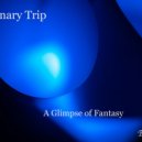 Binary Trip - A Glimpse of Fantasy