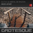 DJ T.H. & Meital De Razon - Miles Apart