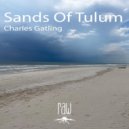 Charles Gatling - Sands Of Tulum (Original Mix)