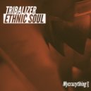 Tribalizer - Occasional Composition