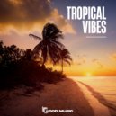 Various Artists - Tropical vibes