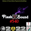 SVnagel ( LV ) - Flash Sound #540 by