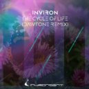 INVIRON - The Cycle of Life