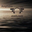 Amphibia - DNA