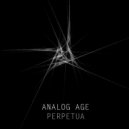 Analog Age - Perpetua