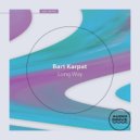 Bart Karpat - No Name Here