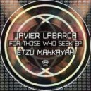 Javier Labarca - For Those Who Seek