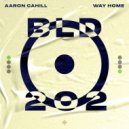 Aaron Cahill - Way Home
