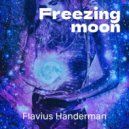 Flavius Handerman - Dazzing Love