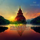 Psytronic - Morning Glory