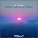 W Vitalik - Different Visions