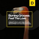 Burning Grooves - Feel The Love