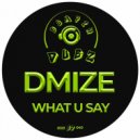 DMIZE - What U Say