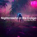 Simon Vinyl - Nightcrawlin In The Congo