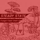 Steady State - Fungal Food Chain