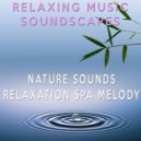 Relaxing Music Soundscapes - Nature Sounds Relaxation Spa Melody