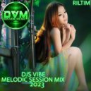 Djs Vibe - Melodic Session Mix 2023 (RILTIM)