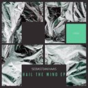 Sebastian Haas - Hail The Wind