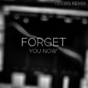 Degrise, Geebis - Forget You Now