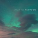 Rye Catchers - Little Things