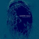 Sandro Galli - Unknown Navigation