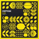 Criptosk - Flow