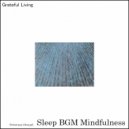 Sleep BGM Mindfulness - Silent Sleeping Seas
