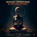 Sonic Species, Divination - Feels Like Home