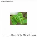Sleep BGM Mindfulness - Regenerate