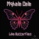 Mqhele Cele - Like Butterflies