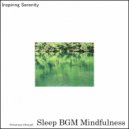 Sleep BGM Mindfulness - Celestial Senses