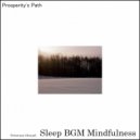 Sleep BGM Mindfulness - Music Therapy