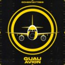 Guau - Avion
