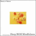 Sleep BGM Mindfulness - Melodic Serenity
