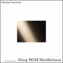 Sleep BGM Mindfulness - Oceanic Embrace