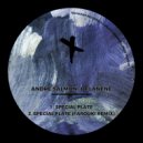 Andre Salmon, Delanene - Special Plate
