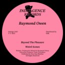 Raymond Owen - Weird Scenes (Original Mix)
