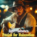 Lucas Tarrega.Guitar - Flamenco Ben