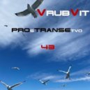 VRUBVIT - PROsTRANCEtvo-43