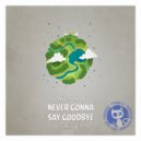 Abriviatura IV - Never Gonna Say Goodbye ()