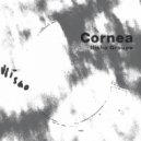 Ilisho Groupe - Cornea ()
