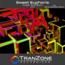 Sweet Euphoria - Crash and Burn