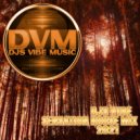 Djs Vibe - Sensation House Mix 2021 ()