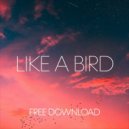Dmitry Molosh - Like A Bird