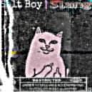 Salt Boy - Slang (prod. by BlackMetalFox)